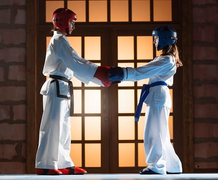 Taekwondo classes for students