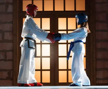 Taekwondo classes for students